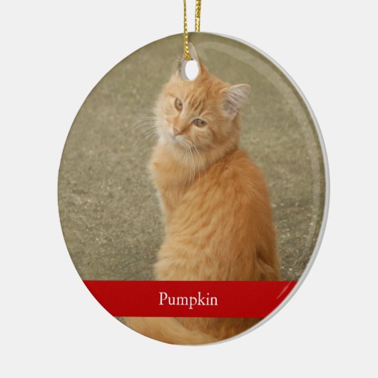 Kat Foto Rood Naam Eenvoudig kerstfeest Keramisch Ornament (Links)