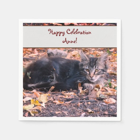 Kat Foto Servet (Voorkant)