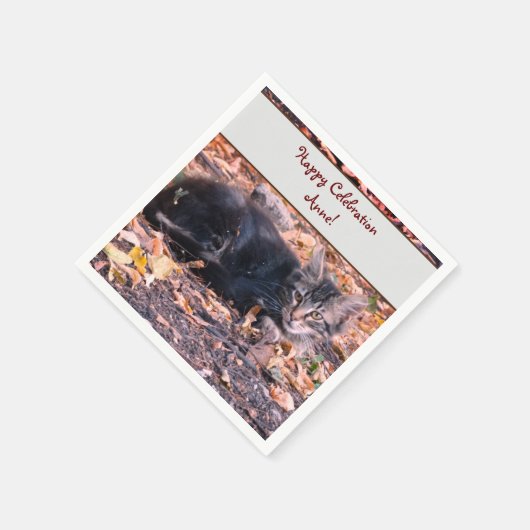 Kat Foto Servet (Hoek)