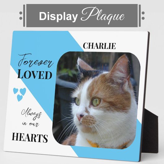 Kat Foto Sympathie Keepsake Pet Memorial blauw Fotoplaat