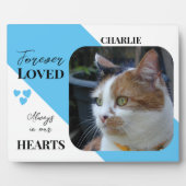 Kat Foto Sympathie Keepsake Pet Memorial blauw Fotoplaat (Voorkant)