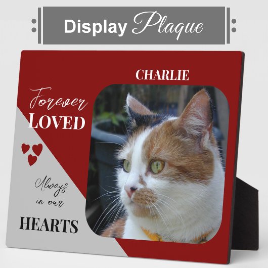 Kat Foto Sympathie Keepsake Pet Memorial Bourgondi Fotoplaat