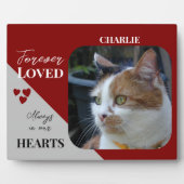 Kat Foto Sympathie Keepsake Pet Memorial Bourgondi Fotoplaat (Voorkant)