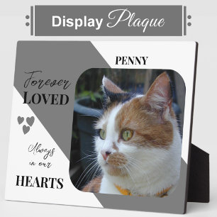 Kat Foto Sympathie Keepsake Pet Memorial grijs Fotoplaat