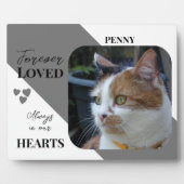 Kat Foto Sympathie Keepsake Pet Memorial grijs Fotoplaat (Voorkant)