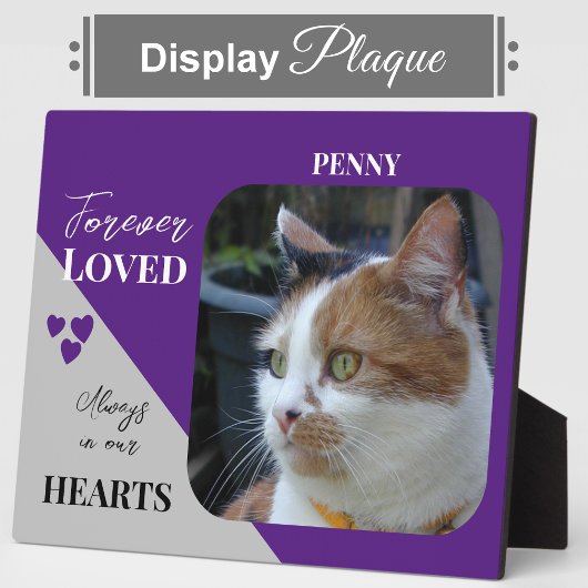 Kat Foto Sympathie Keepsake Pet Memorial paarse Fotoplaat