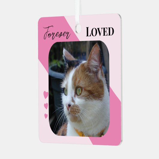 Kat Foto Sympathie Keepsake Pet Memorial roze Metalen Ornament (Voorkant links)