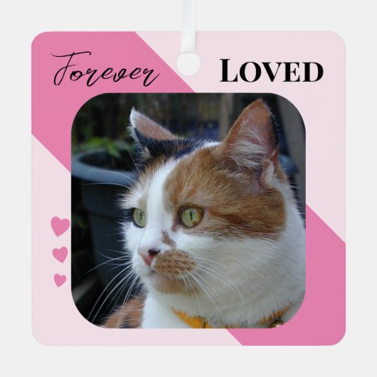Kat Foto Sympathie Keepsake Pet Memorial roze Metalen Ornament (Voorkant)