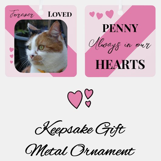 Kat Foto Sympathie Keepsake Pet Memorial roze Metalen Ornament
