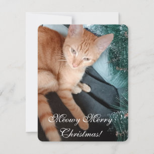 Kat Foto Tekst, Maak Je Eigen, Kerstkaart Kaart