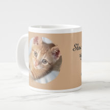 Kat Foto, Tekst, vervangbaar, Grappig, Kat Liefheb
