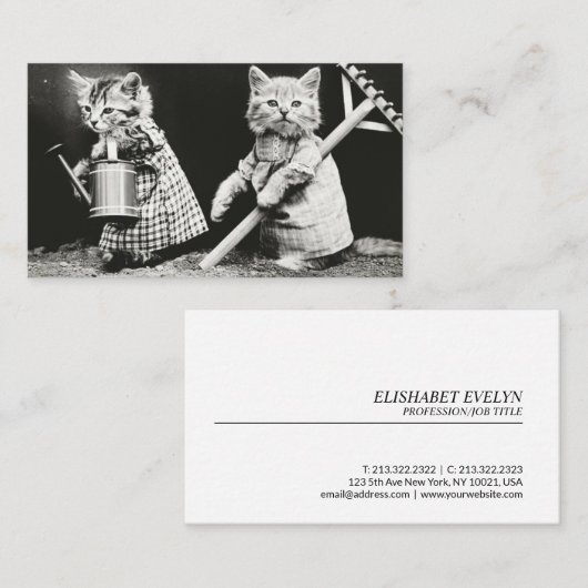 Kat  foto visitekaartje (Voorkant / Achterkant)