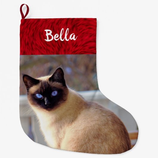 Kat Fotofoto Naam Siamese Kitten Grote Kerstsok (Voorkant)