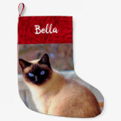 Kat Fotofoto Naam Siamese Kitten Kleine Kerstsok (Voorkant)