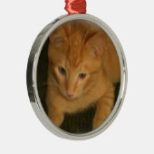 Kat fotografie metalen ornament (Rechts)