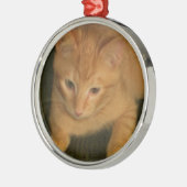 Kat fotografie metalen ornament (Links)