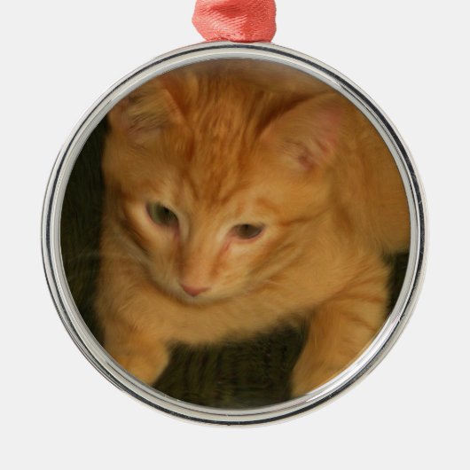 Kat fotografie metalen ornament (Voorkant)