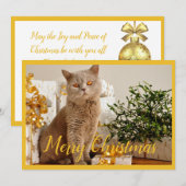 Kat-fotografie voor prettige kerstmis feestdagenkaart (Voorkant / Achterkant)