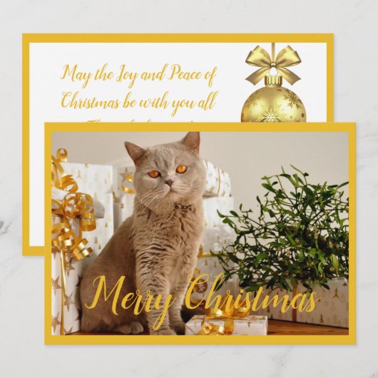 Kat-fotografie voor prettige kerstmis feestdagenkaart (Voorkant / Achterkant)