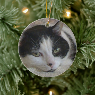 Kat-fotokerstmis Keramisch Ornament