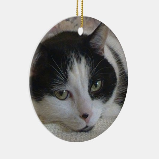 Kat-fotokerstmis Keramisch Ornament (Rechts)