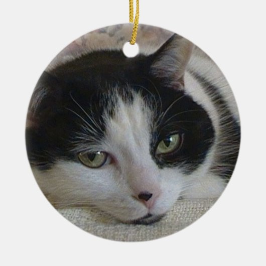 Kat-fotokerstmis Keramisch Ornament (Voorkant)