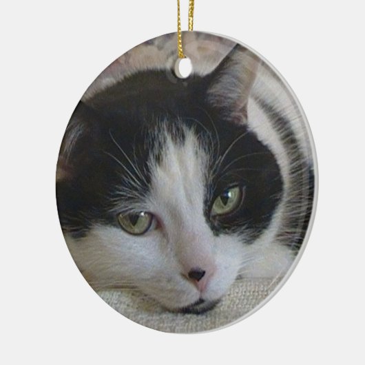 Kat-fotokerstmis Keramisch Ornament (Links)