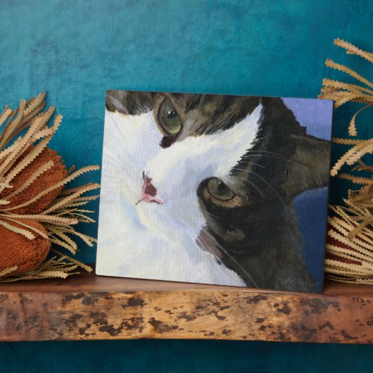 Kat Fotoplaat (Zijkant)