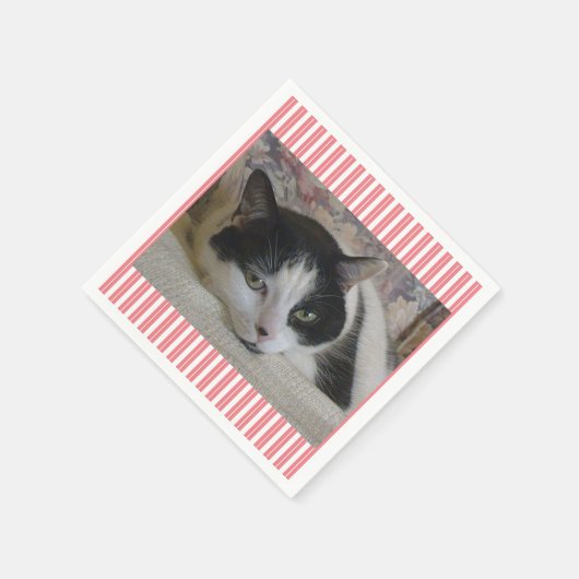 Kat Fotoroze Servet (Hoek)