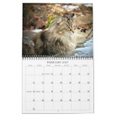 Kat-foto's Kalender (Feb 2027)