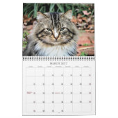 Kat-foto's Kalender (Mar 2027)