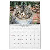 Kat-foto's Kalender (Mar 2026)