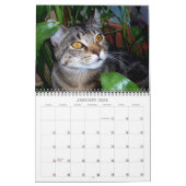 Kat-foto's Kalender (Jan 2026)