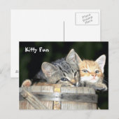 Kat Fun Briefkaart (Voorkant / Achterkant)