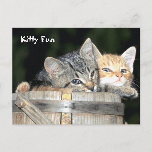 Kat Fun Briefkaart (Voorkant)