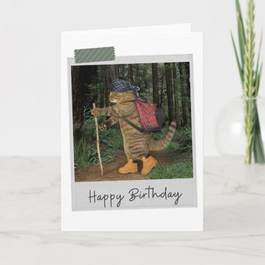 Kat Funny Birthday Card Kaart (Voorkant)