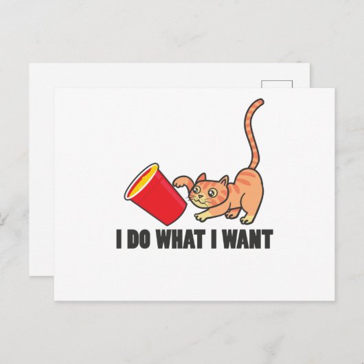 Kat Funny Design Cats Cute Paw Pet Animal Cft Briefkaart (Voorkant / Achterkant)