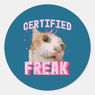 Kat Gecertificeerd Maf Grappige Uitdrukking Kitten Ronde Sticker
