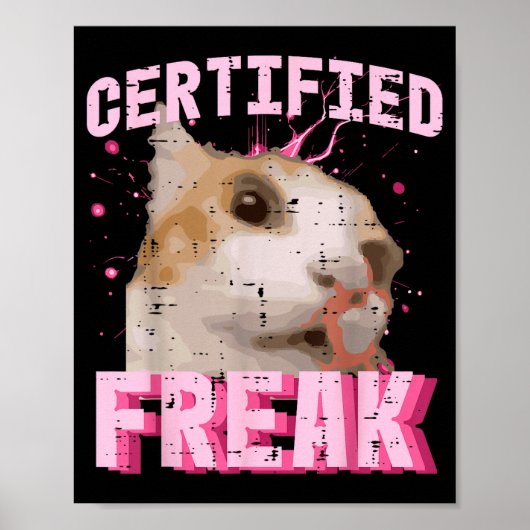 Kat Gecertificeerde Freak Grappige Uitdrukking Kit Poster (Voorkant)