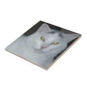 Kat Gedachten Witte kat Tegeltje (Zijkant)