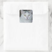 Kat Gedachten Witte kat Vierkante Sticker (Tas)