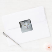 Kat Gedachten Witte kat Vierkante Sticker (Envelop)