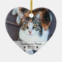 Kat Gedenk Voor Altijd In Onze Hartjes Foto
