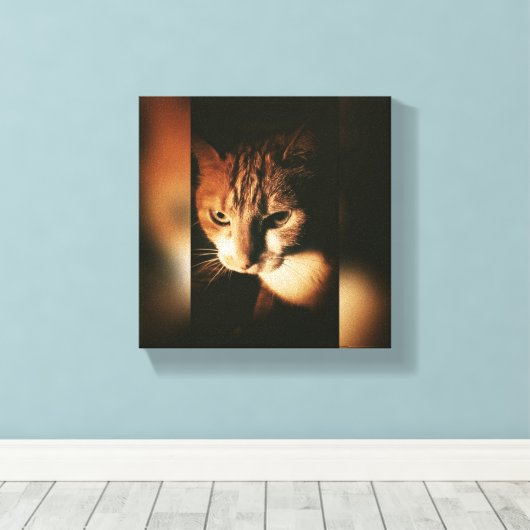 Kat gedrukt op canvas (Insitu (Houten vloer))