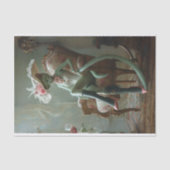 Kat genaamd Adaline dat is Tissuepapier (Voorkant)