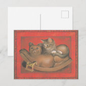 Kat Gepiliseerd Briefkaart (Voorkant / Achterkant)