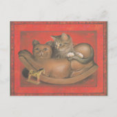 Kat Gepiliseerd Briefkaart (Voorkant)
