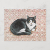 KAT-GESCHILD BRIEFKAART (Voorkant)