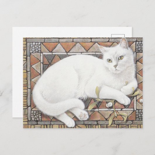 KAT-GESCHILD BRIEFKAART (Voorkant / Achterkant)