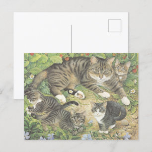 KAT-GESCHILD BRIEFKAART